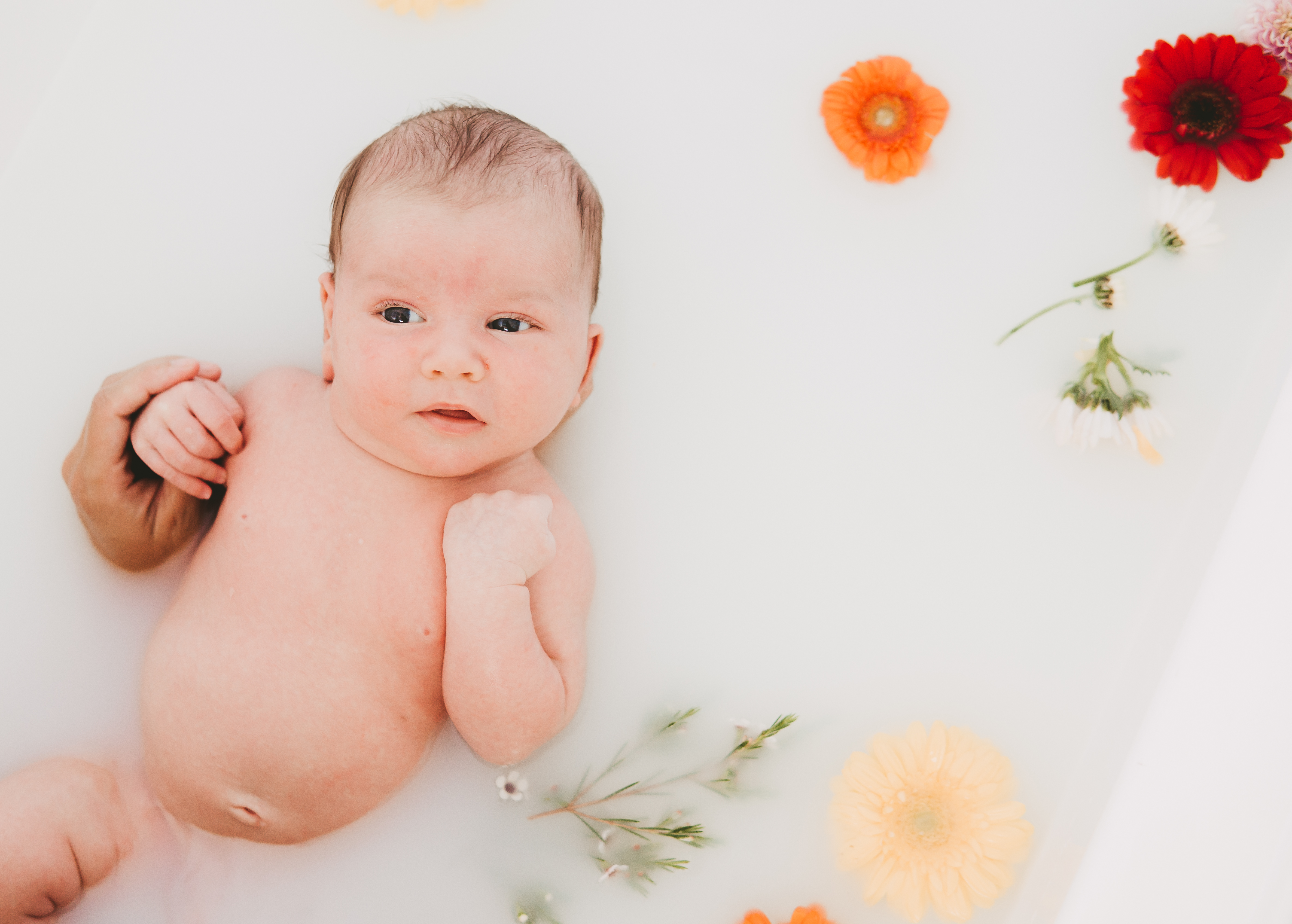 Birth Planning